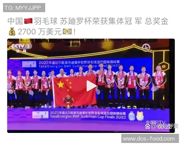 上海羽毛球队在杯赛中的速度表现分析与战术探讨